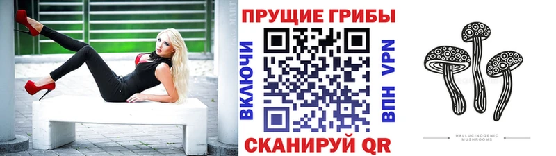 закладки  Трёхгорный  Псилоцибиновые грибы MAGIC MUSHROOMS 