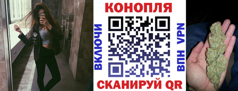 Шишки марихуана сатива Трёхгорный